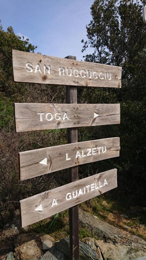 Apartamento A Tana Di A Volpe Ville-di-Pietrabugno Exterior foto