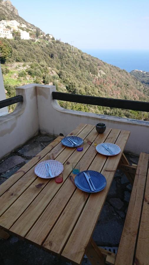 Apartamento A Tana Di A Volpe Ville-di-Pietrabugno Exterior foto