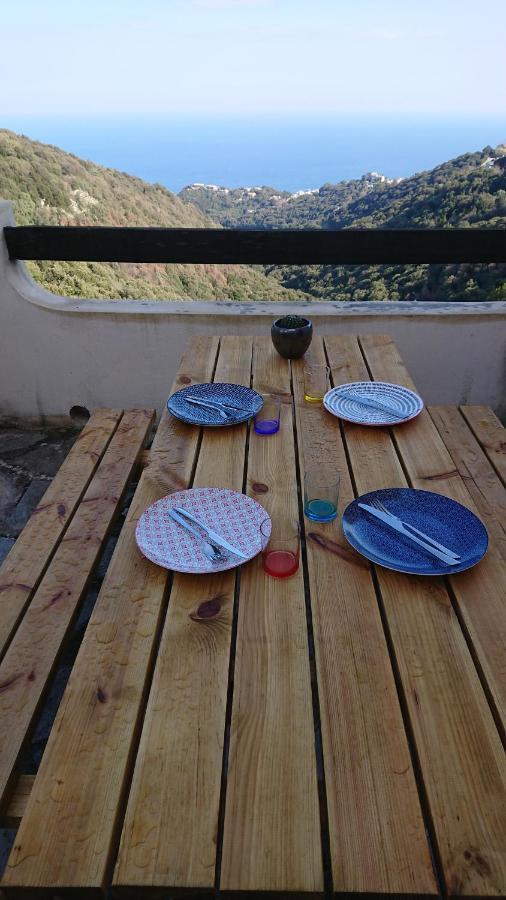 Apartamento A Tana Di A Volpe Ville-di-Pietrabugno Exterior foto