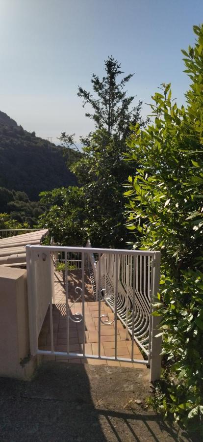 Apartamento A Tana Di A Volpe Ville-di-Pietrabugno Exterior foto